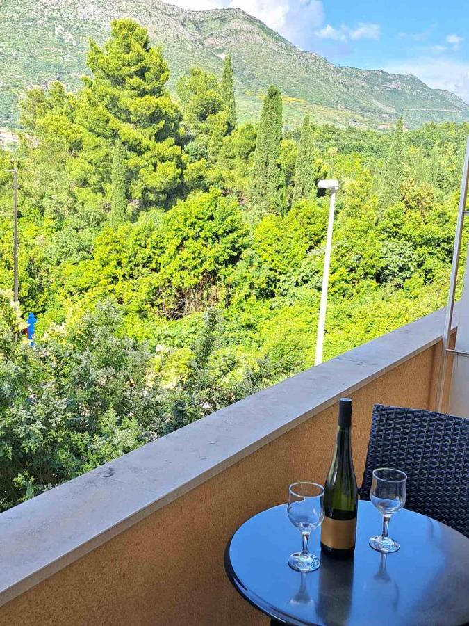 Guesthouse Villa Stanovic Vlaho Cavtat Exterior photo